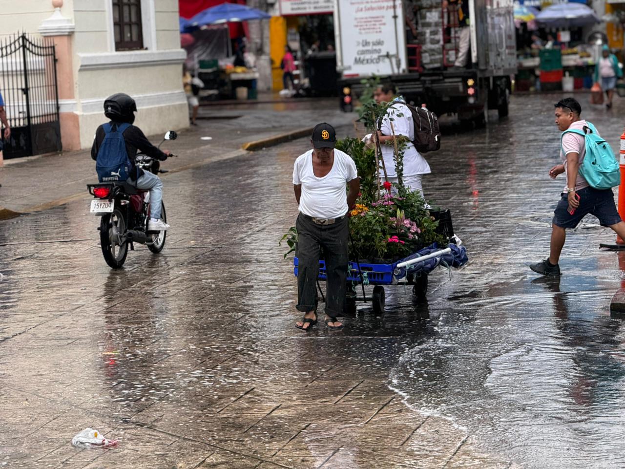 imagen-cuerpo imagen-cuerpo