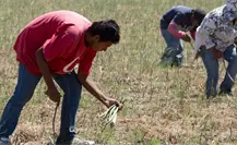 Mejorar salarios en Chiapas, la meta del desarrollo económico para 2026 Mejorar salarios en Chiapas, la meta del desarrollo económico para 2026