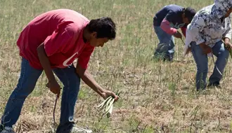 Mejorar salarios en Chiapas, la meta del desarrollo económico para 2026