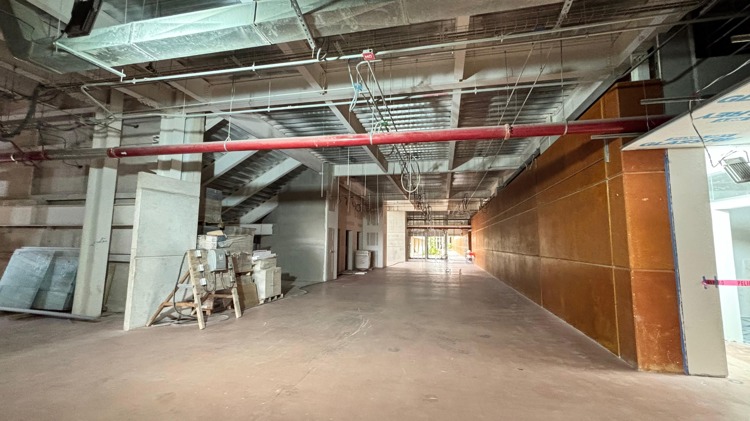 imagen-cuerpo imagen-cuerpo