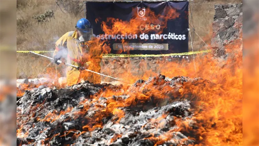 imagen recuadro Decomiso de narcóticos de Fiscalía de CDMX. Foto: X @FiscaliaCDMX | Canva