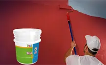 El Inmuvi Durango vende esta pintura a 740 pesos e incluye charola, rodillo, brochas y hule El Inmuvi Durango vende esta pintura a 740 pesos e incluye charola, rodillo, brochas y hule