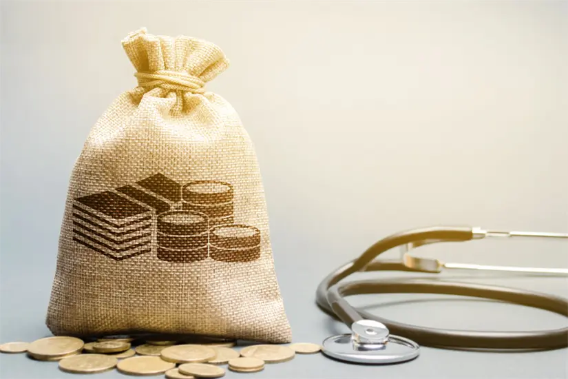 Presupuesto de Egresos 2026. CANVA