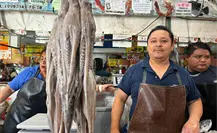 Panorama de la venta de pulpo en mercados de Mérida tras el cierre de la temporada de captura