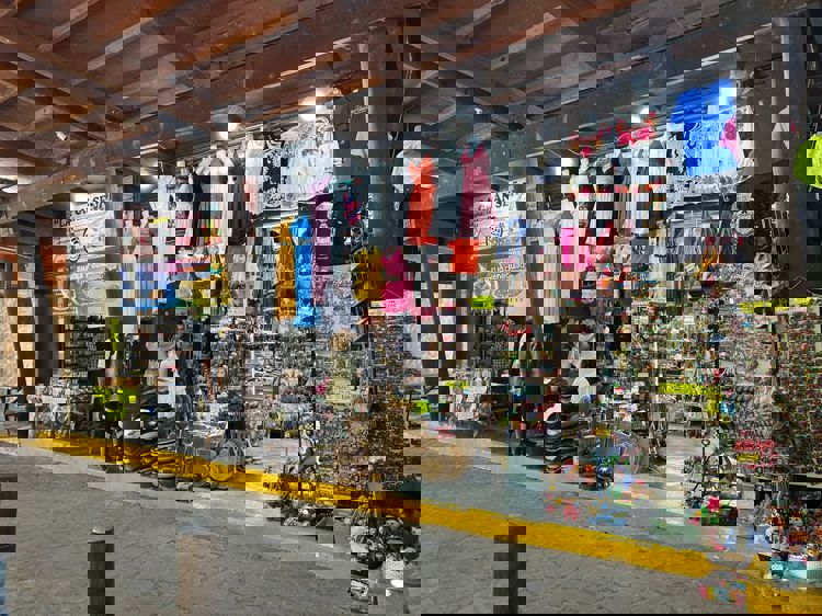 imagen-cuerpo imagen-cuerpo