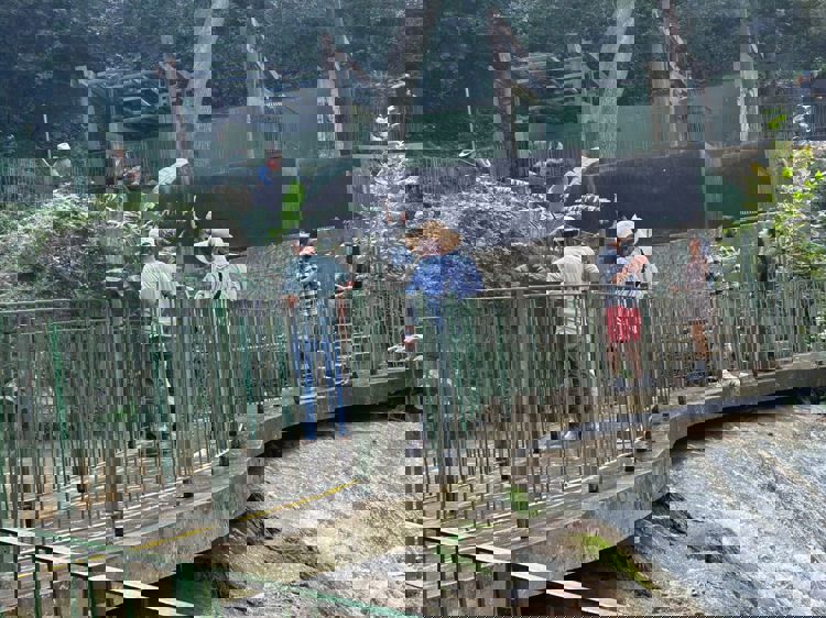 imagen-cuerpo imagen-cuerpo