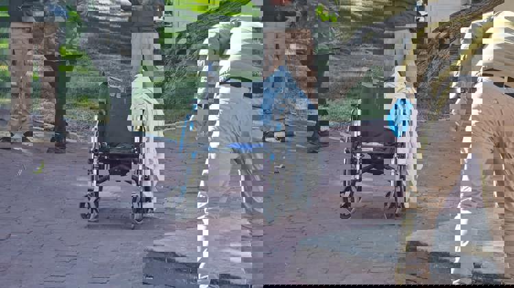 imagen-cuerpo imagen-cuerpo