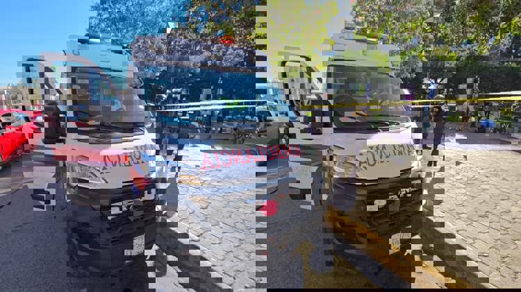 imagen-cuerpo imagen-cuerpo