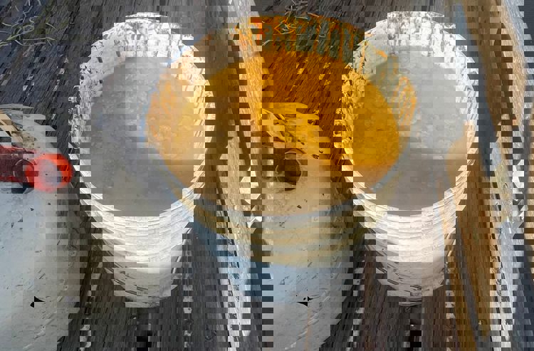 imagen-cuerpo imagen-cuerpo