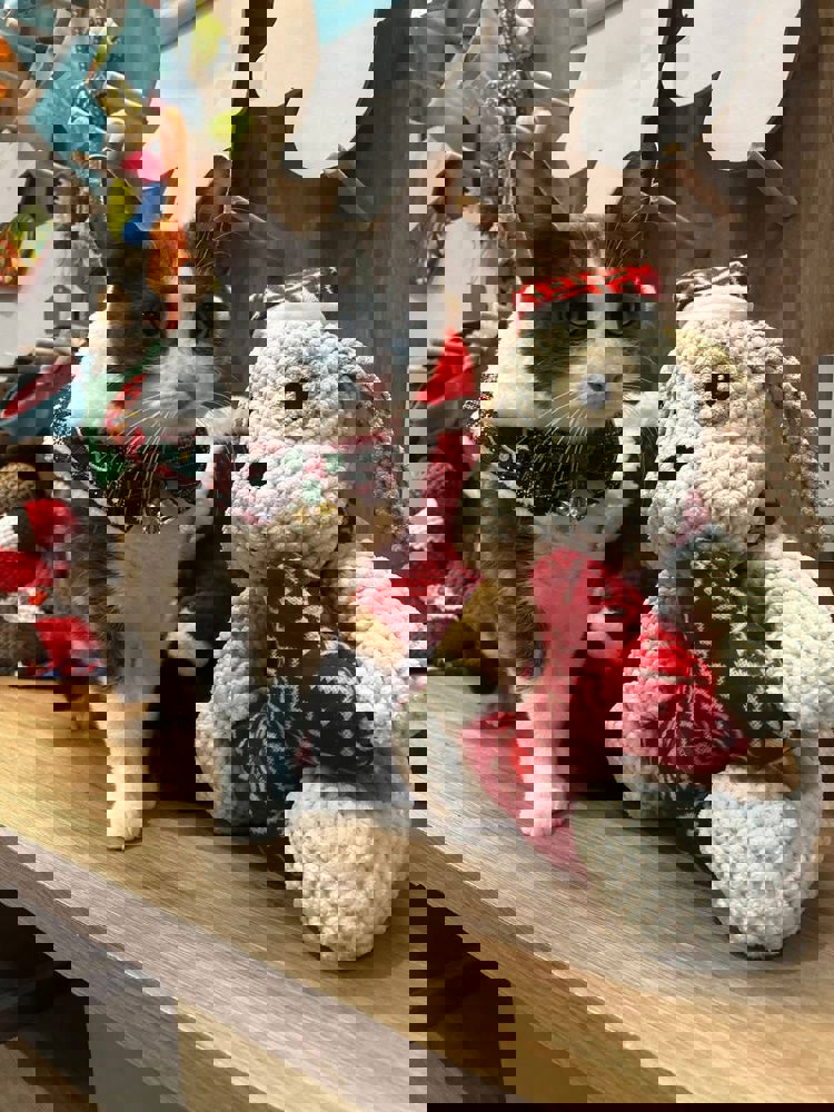 imagen-cuerpo imagen-cuerpo