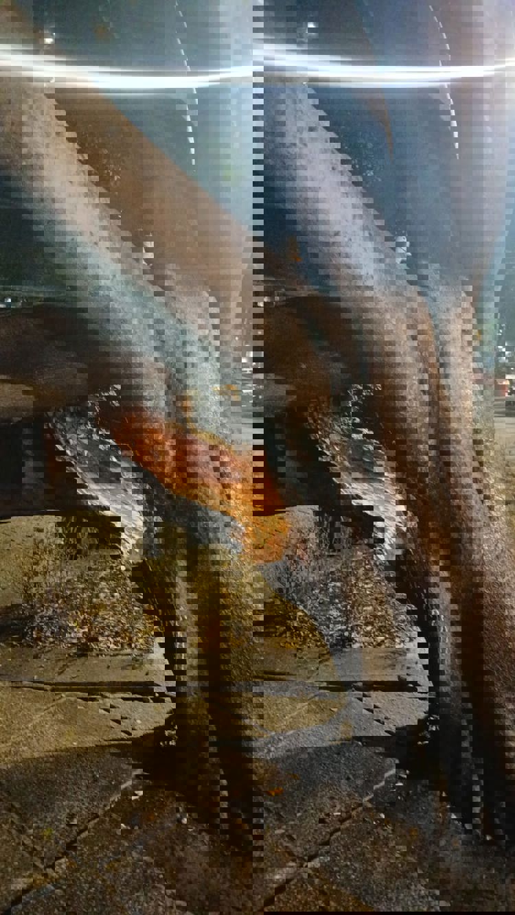 imagen-cuerpo imagen-cuerpo