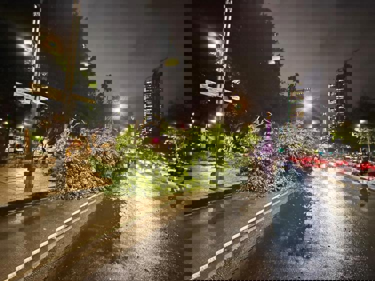 imagen-cuerpo imagen-cuerpo