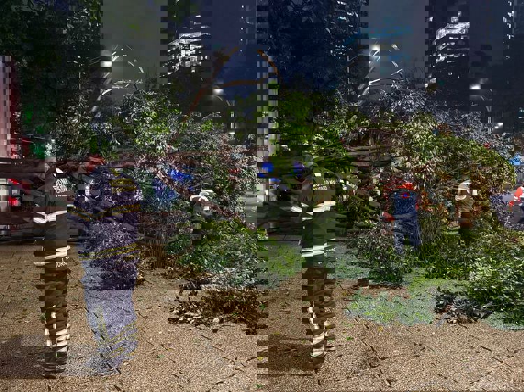 imagen-cuerpo imagen-cuerpo