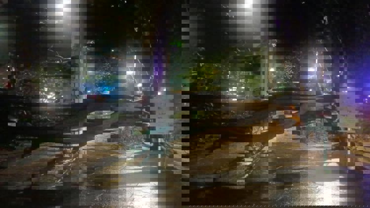 imagen-cuerpo imagen-cuerpo