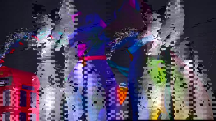 imagen-cuerpo imagen-cuerpo