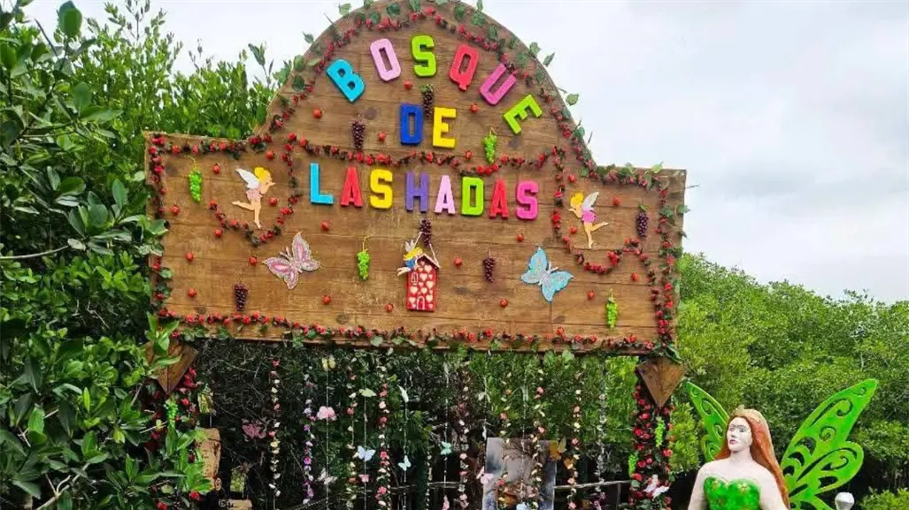 El misterioso bosque de las hadas a 40 minutos de Tampico