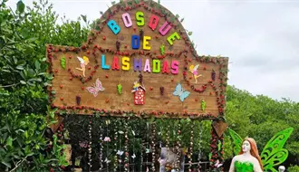 El misterioso bosque de las hadas a 40 minutos de Tampico