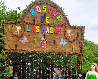 El misterioso bosque de las hadas a 40 minutos de Tampico