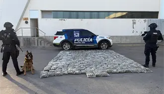 Aseguran más de 160 kilos de marihuana en paquetería de Guanajuato