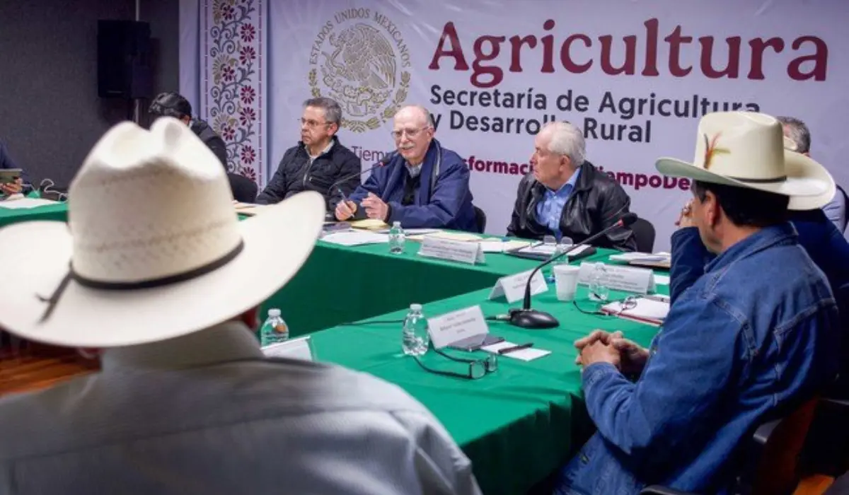 Autoridades federales en mesa de diálogo con transportistas y agroproductores. Foto: X (@Agricultura_mex)