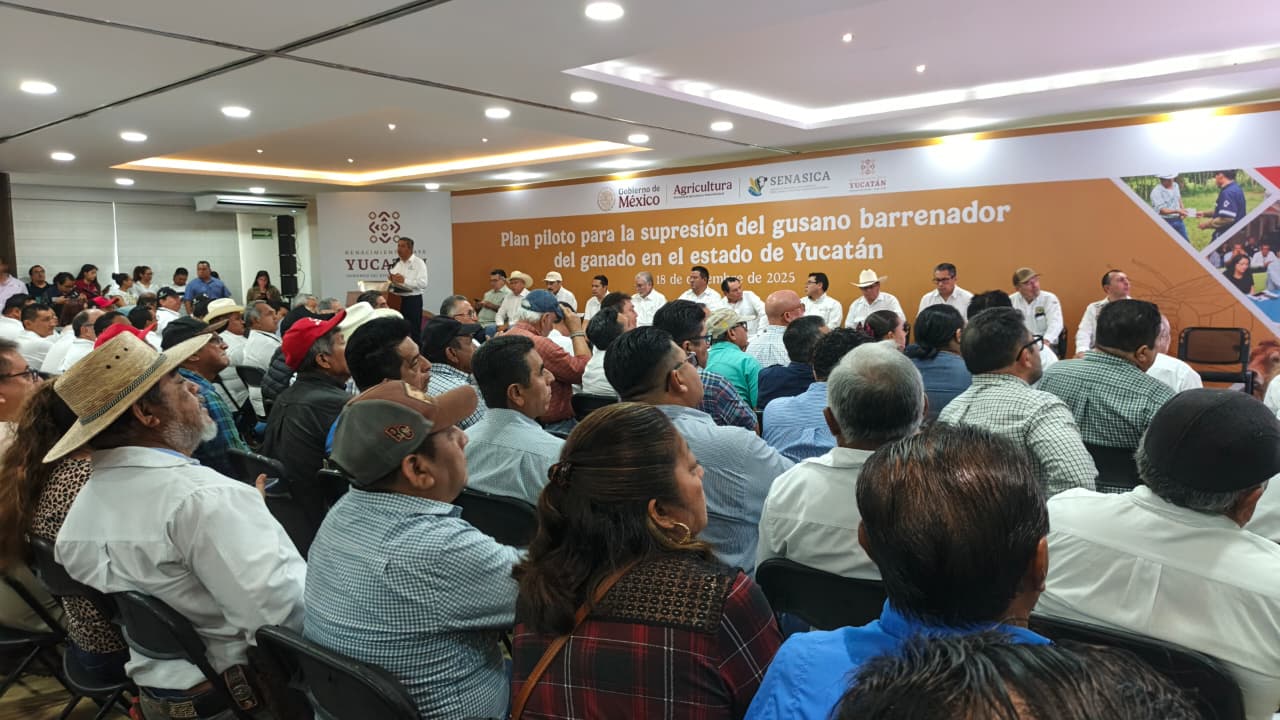 imagen-cuerpo imagen-cuerpo