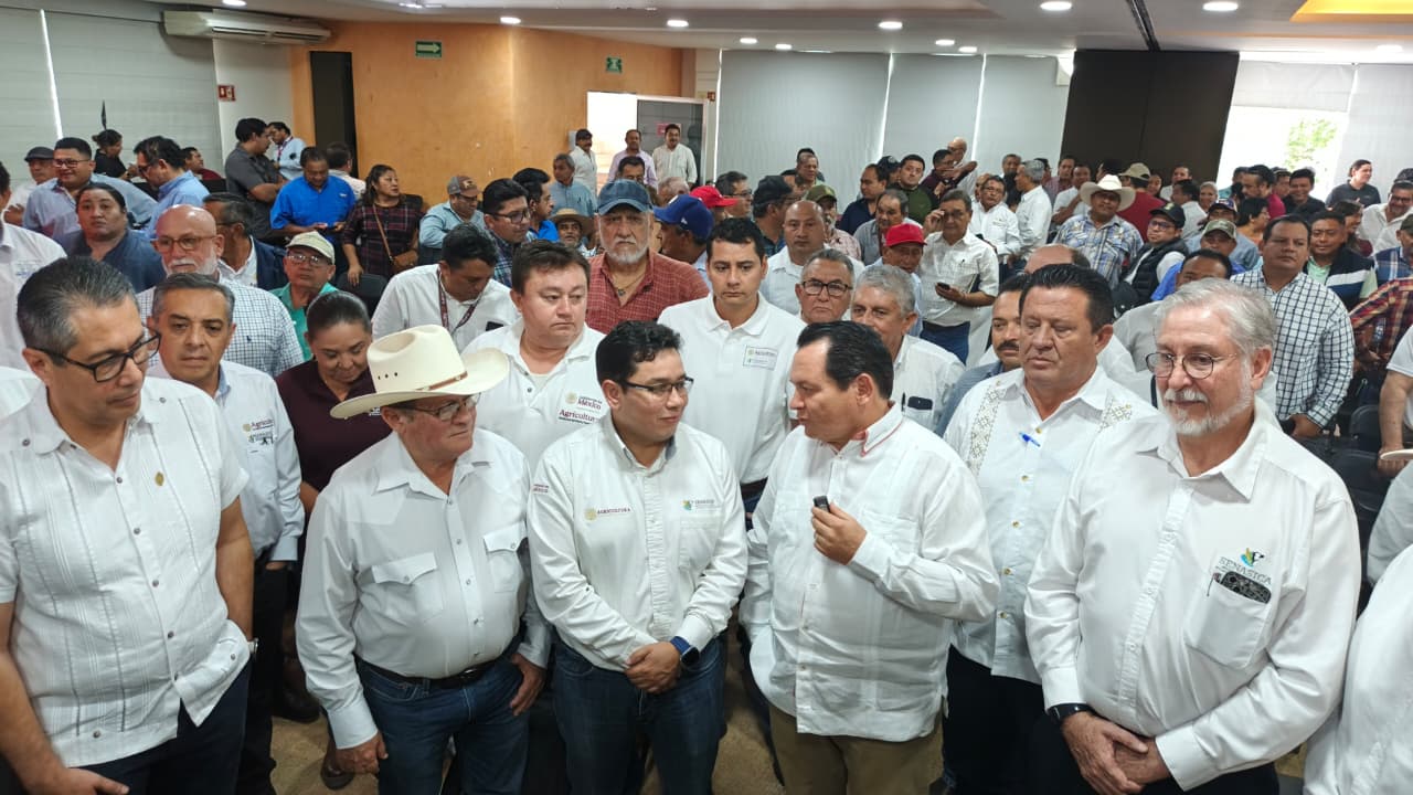 imagen-cuerpo imagen-cuerpo