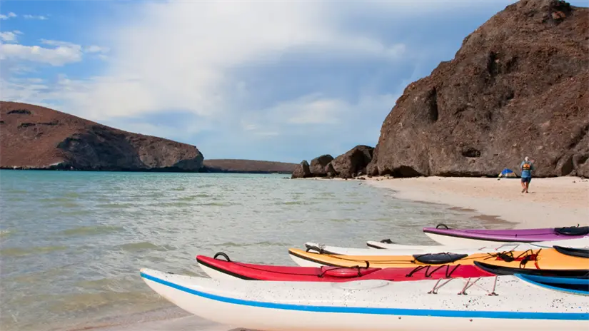 imagen recuadro Isla Espíritu Santo, área natural protegida frente a La Paz, ofrece experiencias como snorkel, kayak y contacto directo con la vida marina. Foto: Canva