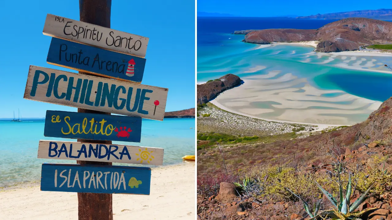 El Malecón de La Paz es uno de los espacios más visitados por locales y turistas, con vistas directas al Mar de Cortés y actividad constante durante todo el año. Foto: Canva