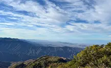 Niño Verde, ligado a polémico proyecto de 10 hectáreas en Sierra de la Laguna en BCS
