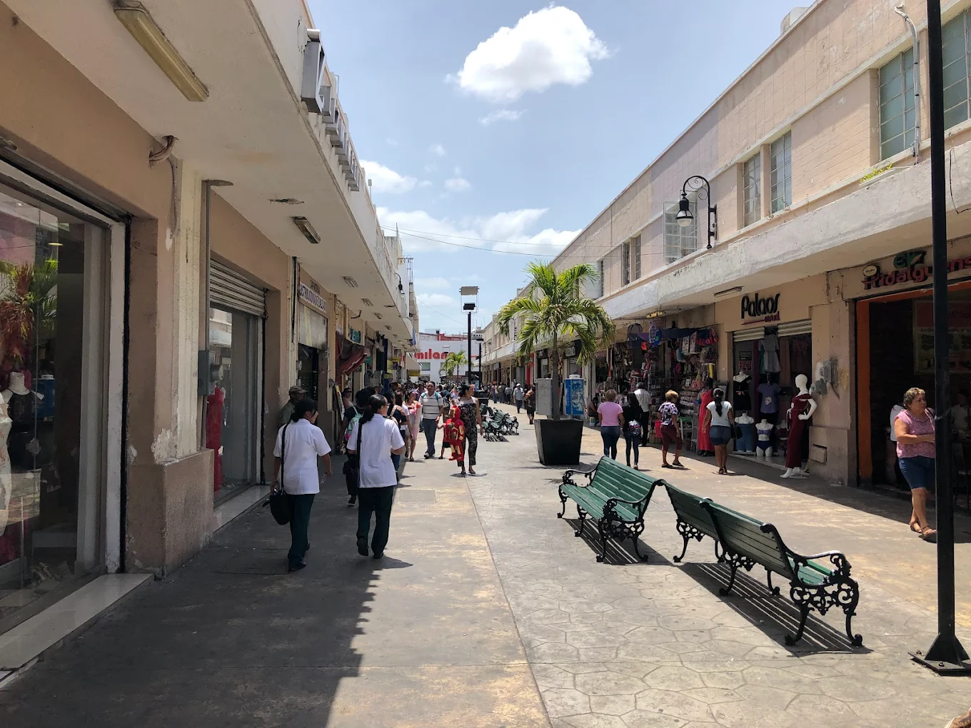 imagen-cuerpo imagen-cuerpo