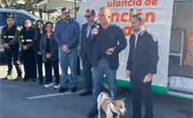 La salvación de “Runner”: La perrita que conquistó corazones tras correr el Maratón de Monterrey La salvación de “Runner”: La perrita que conquistó corazones tras correr el Maratón de Monterrey