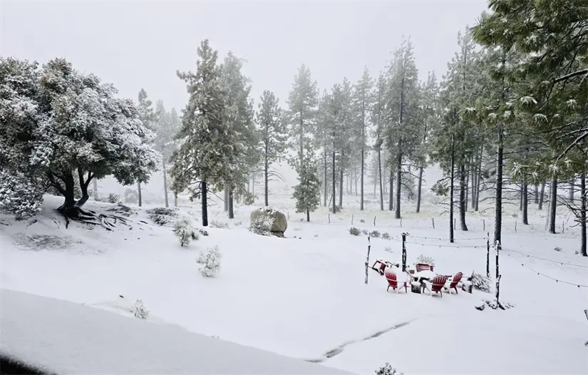 Foto: Facebook / Yo Amo Ensenada