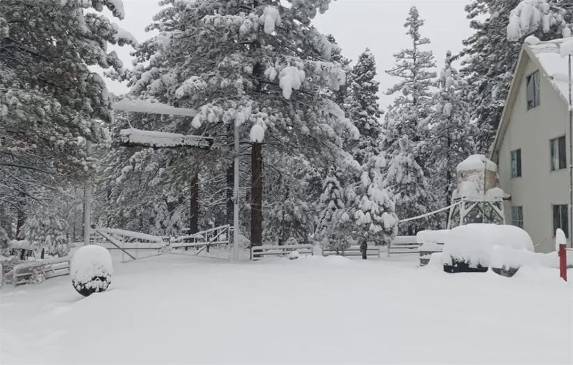 Foto: Facebook / Parque Nacional Sierra de San Pedro Mártir
