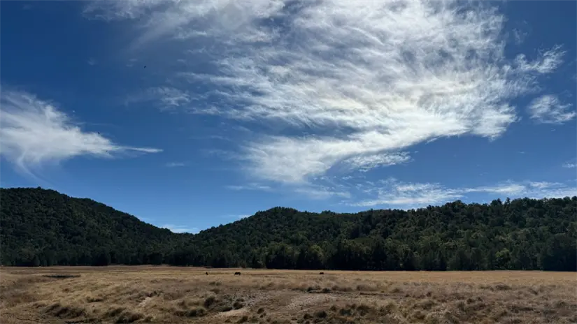 Valle al interior de la Sierra de la Laguna, una de las regiones con menor densidad poblacional del estado. Foto: Cortesía POSTA Baja California Sur