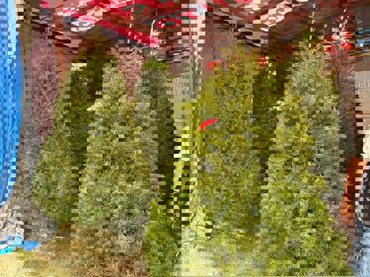 imagen-cuerpo imagen-cuerpo