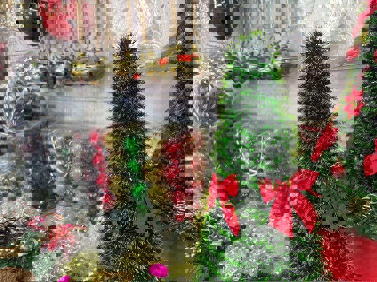 imagen-cuerpo imagen-cuerpo