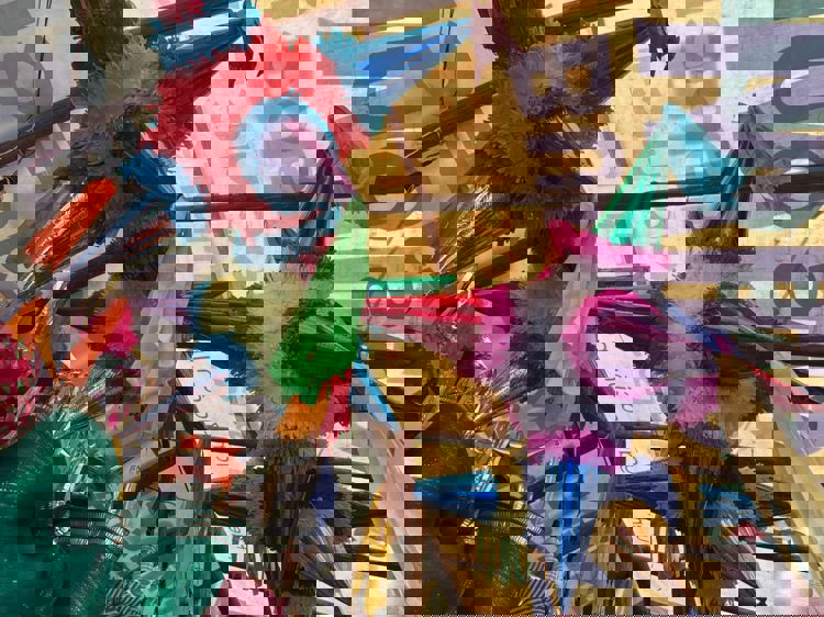 imagen-cuerpo imagen-cuerpo