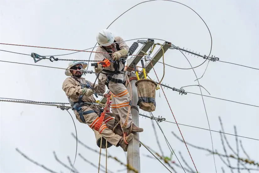 imagen recuadro Cuadrilla de la Comisión Federal de Electricidad Foto: CFE Nacional