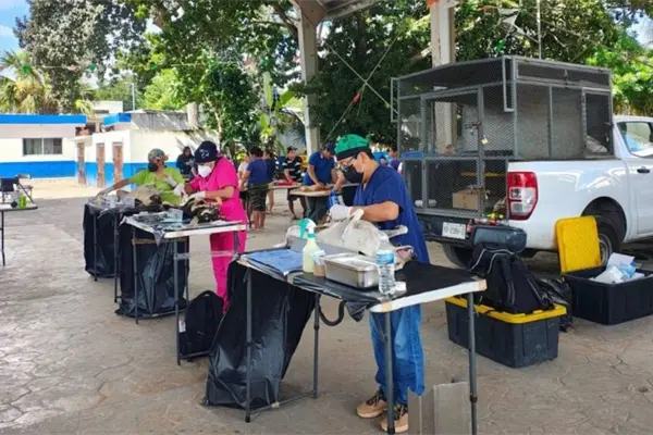 Campa&ntilde;as de esterilizaci&oacute;n en Yucat&aacute;n: fortalecen la salud p&uacute;blica y la tenencia responsable