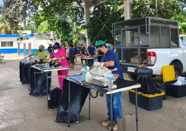 Campa&ntilde;as de esterilizaci&oacute;n en Yucat&aacute;n: fortalecen la salud p&uacute;blica y la tenencia responsable