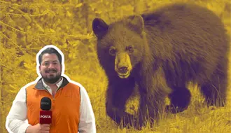 Fauna silvestre en Nuevo León: Educación, rescates y conciencia ambiental