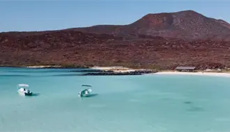 Isla Coronado, el acuario del Golfo de California que sacado de un sueño en Loreto