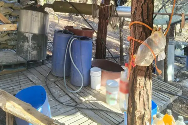 Ej&eacute;rcito desmantela narcolaboratorio en Durango y da golpe millonario al narco