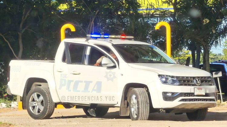 imagen-cuerpo imagen-cuerpo