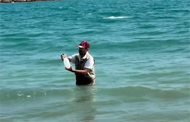 Playa Barra del Tordo de Tamaulipas no es apta para ba&ntilde;istas por estas razones, seg&uacute;n la Cofepris