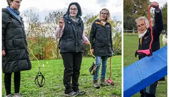 ¿Qué es el hobby dogging y por qué no necesitas una mascota para practicarlo?