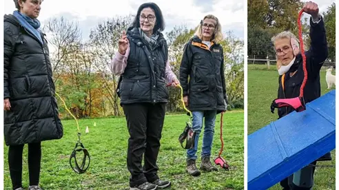 &iquest;Qu&eacute; es el hobby dogging y por qu&eacute; no necesitas una mascota para practicarlo?