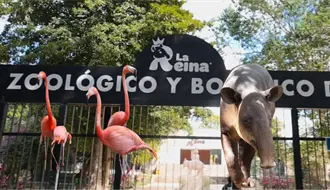 Vuelve a abrir el zoológico La Reina de Tizimín tras poco más de dos meses cerrado