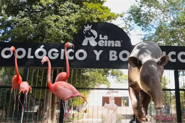 Vuelve a abrir el zool&oacute;gico La Reina de Tizim&iacute;n tras poco m&aacute;s de dos meses cerrado