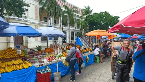 Comercio informal afecta ventas de locatarios del mercado Lucas de G&aacute;lvez en M&eacute;rida en la temporada decembrina